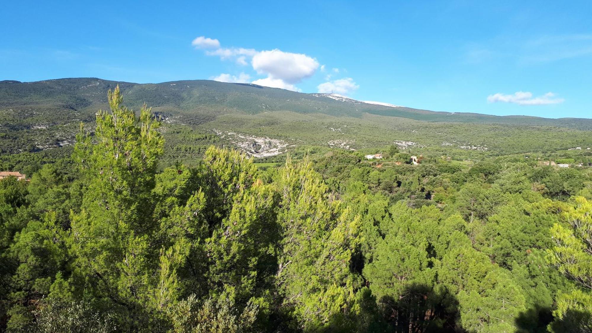 La Carriera, Petite Maison Sud Ventoux, Au Charme Provencal Bédoin Exterior foto